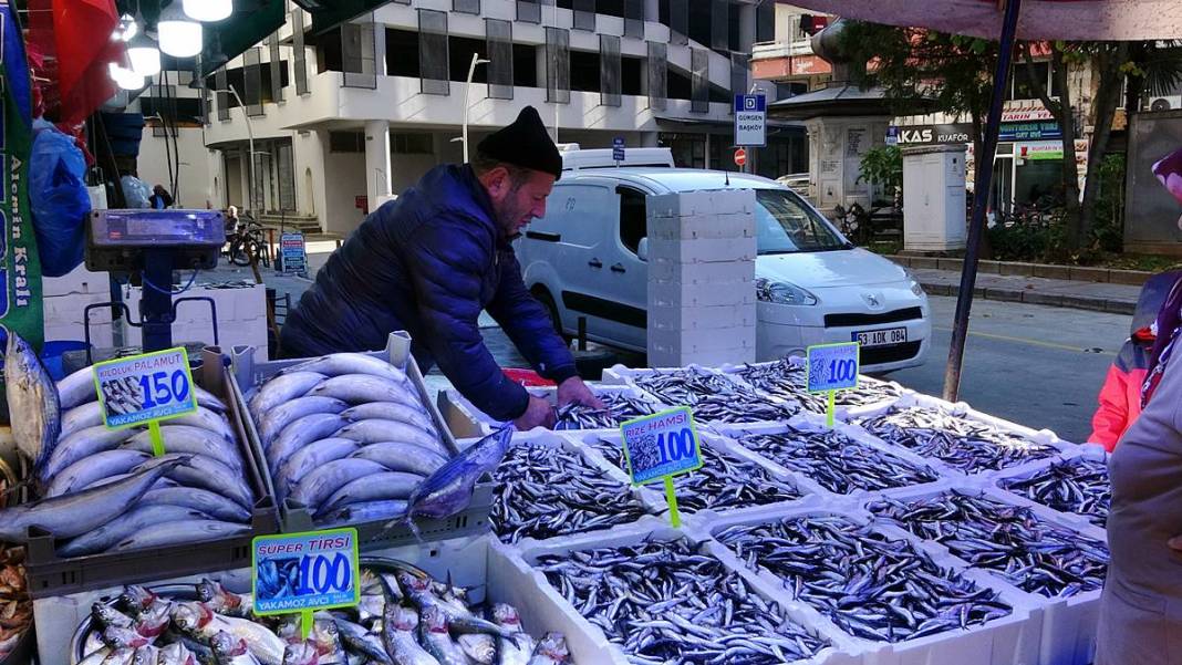 Tezgahlar doldu taştı: Hamsinin fiyatı görenleri şaşırttı! Boyu uzadı, fiyatı düştü, her gelen kilolarca alıyor 4